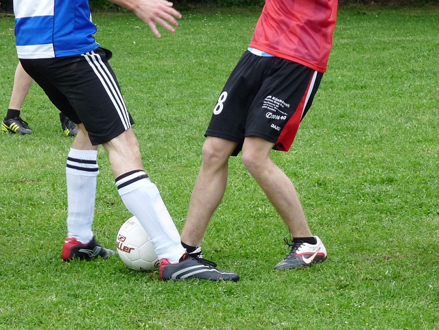 似乎找回了 似乎找回了