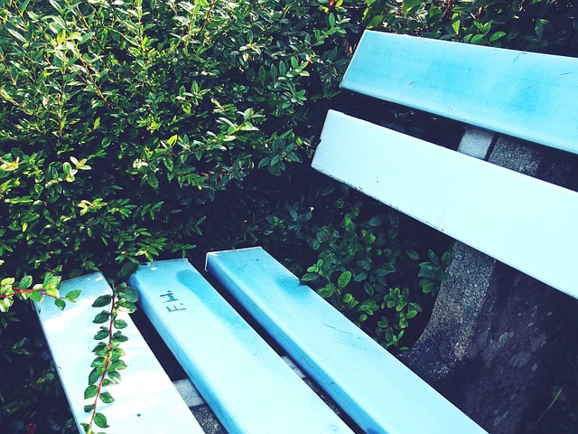 隊運營結構 隊運營結構