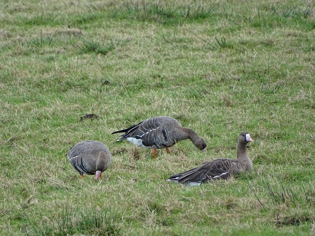巴萨球员 巴萨球员